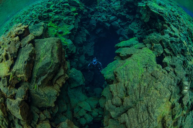 Freedive Silfra Half Day Tour - The guide support makes a real difference