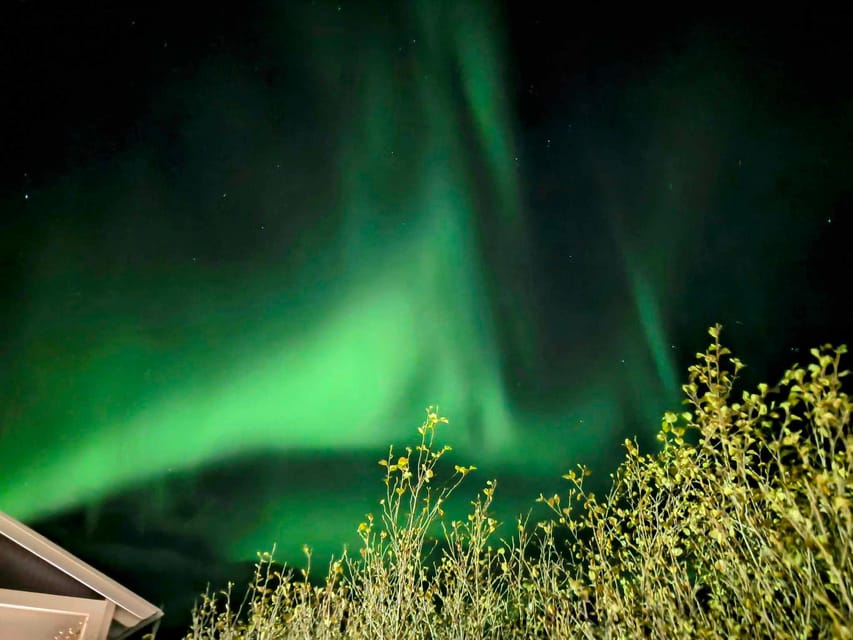 From Akureyri: Northern Lights Tour - Is $132 a fair price?