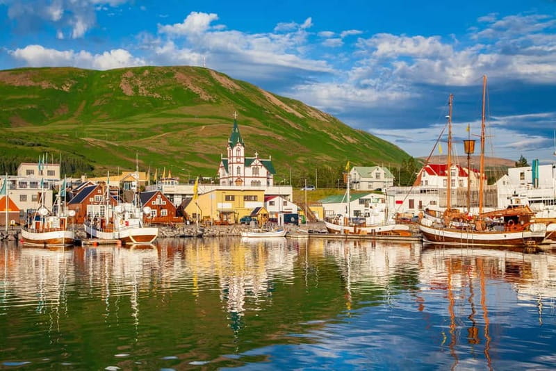 From Akureyri Port: Diamond Circle Guided Day Trip w/ Lunch - Námaskarð and the smell of the earth