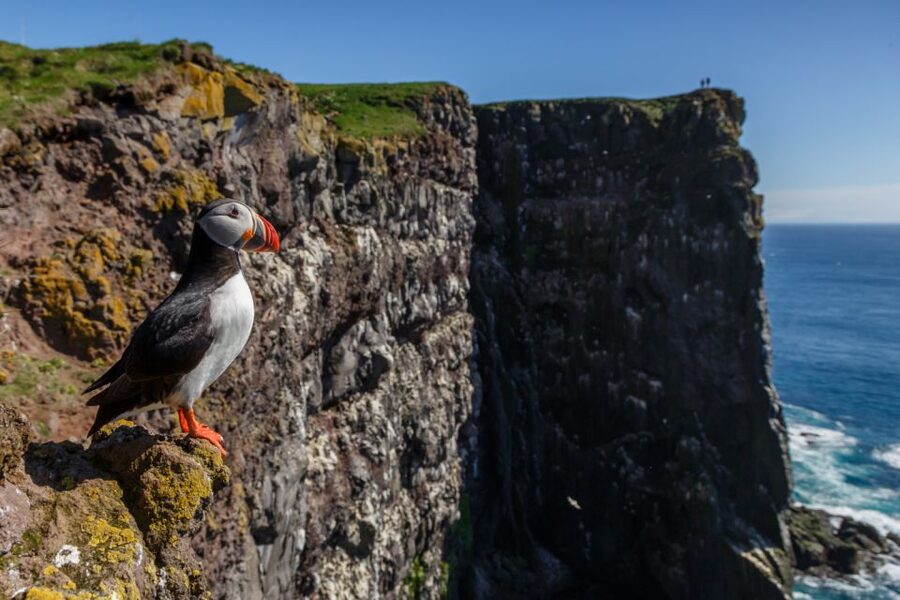 From Reykjavík: 3-Day Tour of the Wild Westfjords - Day one: Vikings, waterfalls, and the road into the fjords