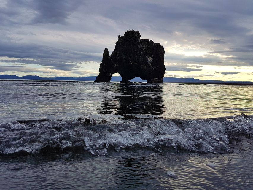 From Reykjavík: 4, 5, 6 or 7-Day Small-Group Ring Road Tour - Day four: Akureyri, whales, and the Tröllaskagi coast