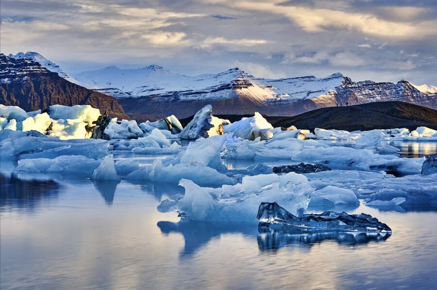 From Reykjavik: 6-Day Small Group Tour of Iceland - Day 6: Eyjafjörður, a farm visit, and whales from Hauganes