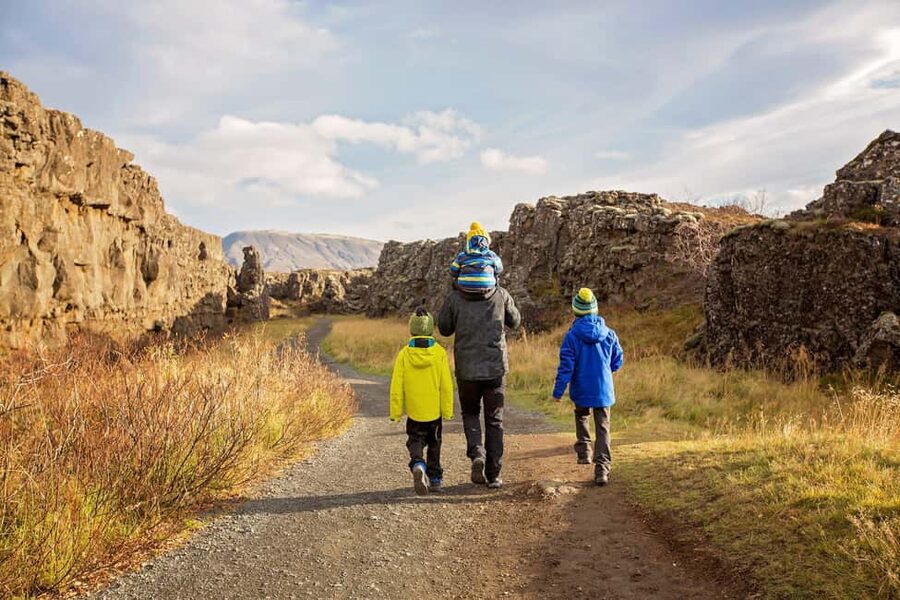 From Reykjavík: Best of Iceland 6-Day Stopover Tour - South Shore: waterfalls, black sand, and long hours on the road