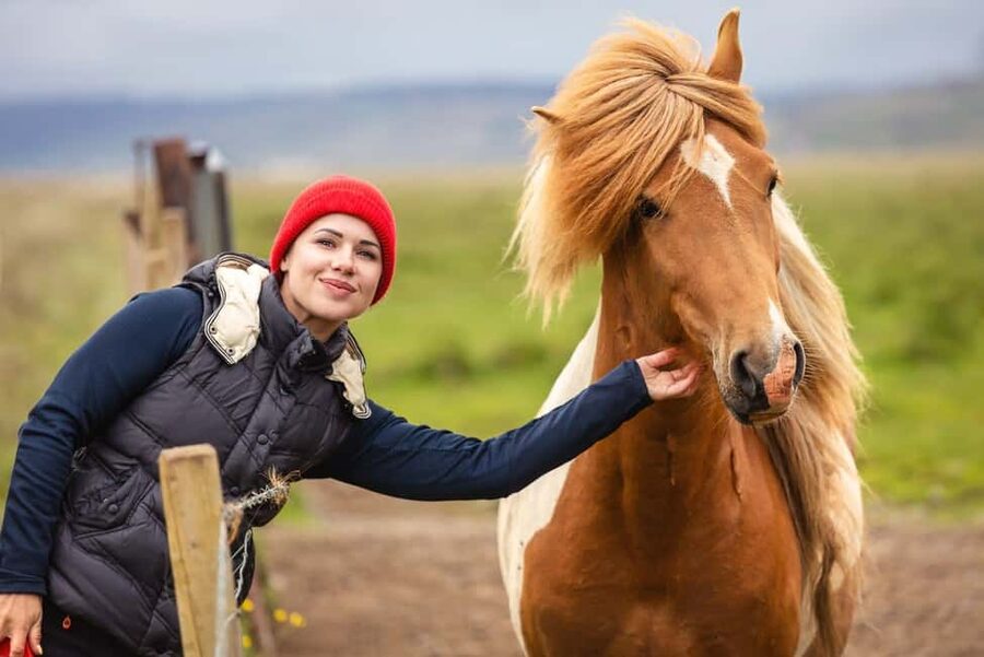 From Reykjavík: Best of Iceland 6-Day Stopover Tour - Arrival day: get settled before the excursions