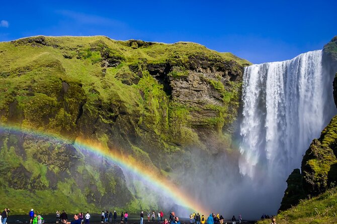 From Reykjavik: Full Day Private South Coast Tour in Iceland - Vik: a small community between the coast and cliffs