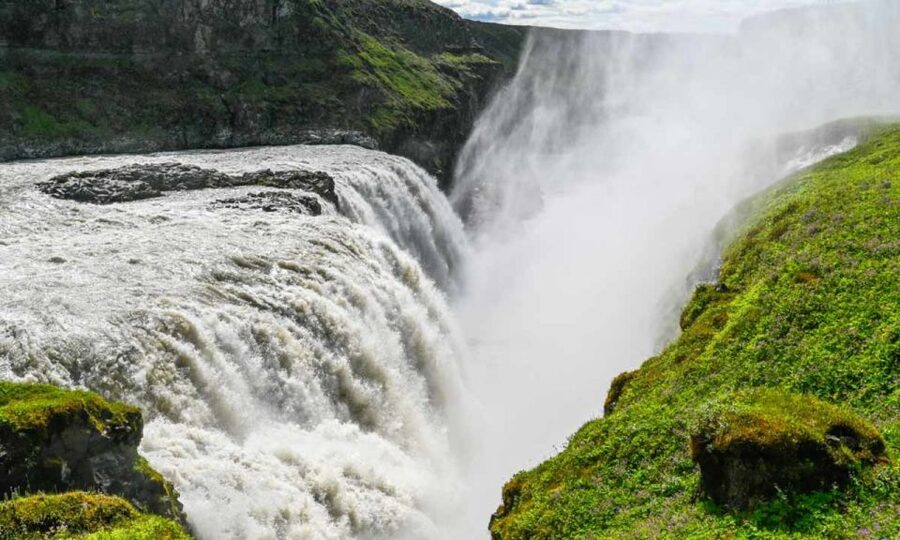 From Reykjavik: Full Day Whale Watching & Golden Circle Tour - Is $222 a fair value?