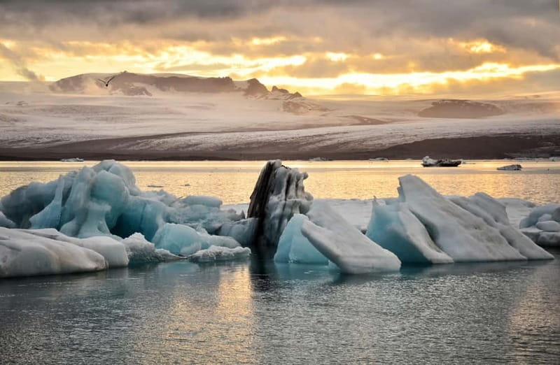 From Reykjavik: Glacier Lagoon and Fjaðrárgjúfur Canyon Tour - Key points to know before booking
