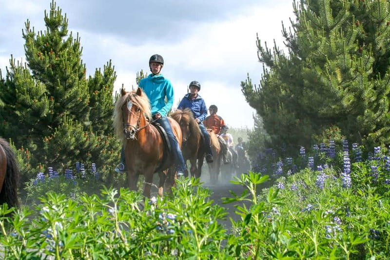 From Reykjavík: Icelandic Horse Riding Tour in Lava Fields - Key points to know before riding