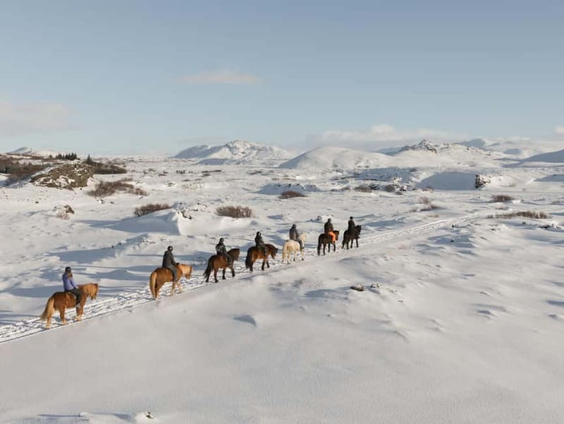 From Reykjavík: Icelandic Horse Riding Tour in Lava Fields - Why this ride works so well near Reykjavík
