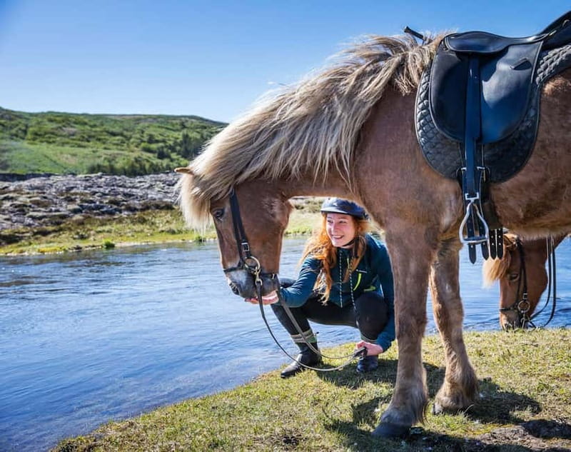 From Reykjavík: Icelandic Horse Riding Tour in Lava Fields - Meeting your horse and getting ready
