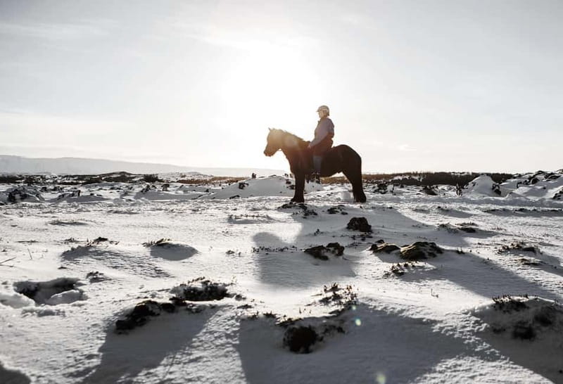 From Reykjavík: Icelandic Horse Riding Tour in Lava Fields - Weather, clothing, and comfort