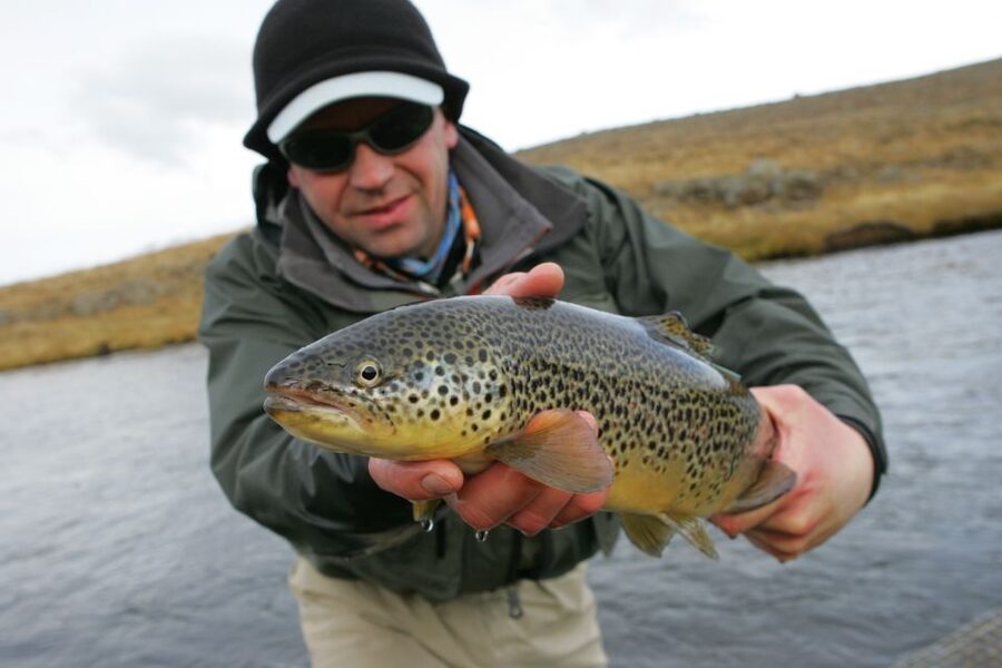 From Reykjavik: Lake and River Fishing Tour - Leaving Reykjavik around 8:00 in the morning