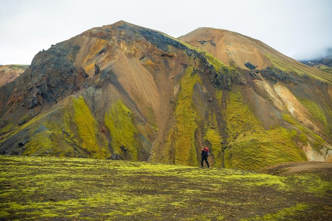 From Reykjavík: Landmannalaugar Hiking Day Tour - Crossing Laugahraun’s black lava