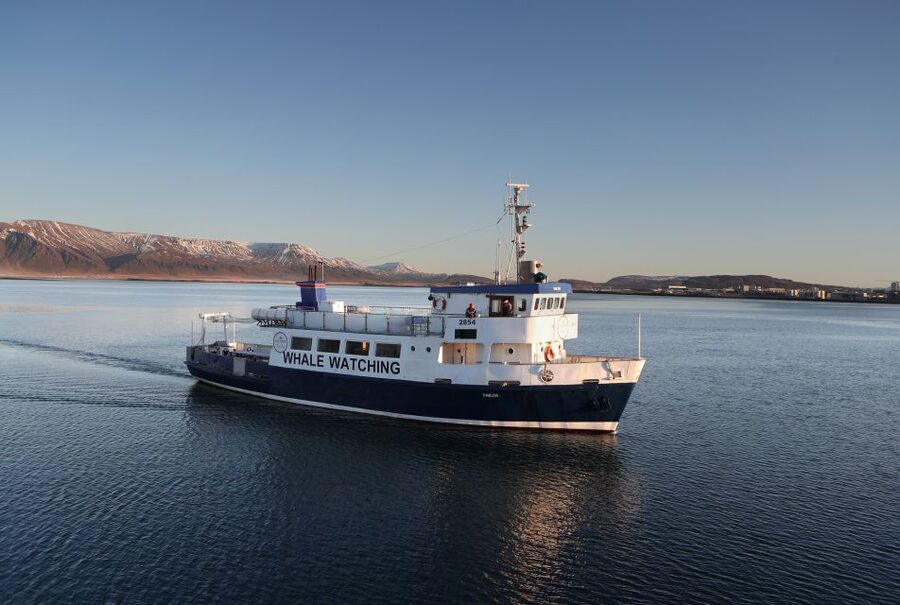 From Reykjavik: New Years Fireworks by Boat - The 10:30 PM cruise before midnight