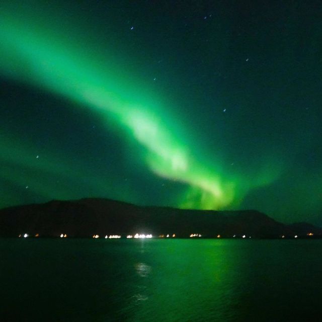 From Reykjavik: Northern Lights Boat Cruise - Should you book the Reykjavik Northern Lights boat cruise?