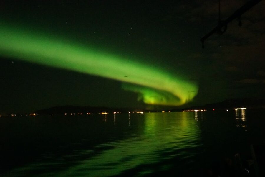 From Reykjavik: Northern Lights Boat Cruise - Price and value at $101 per person