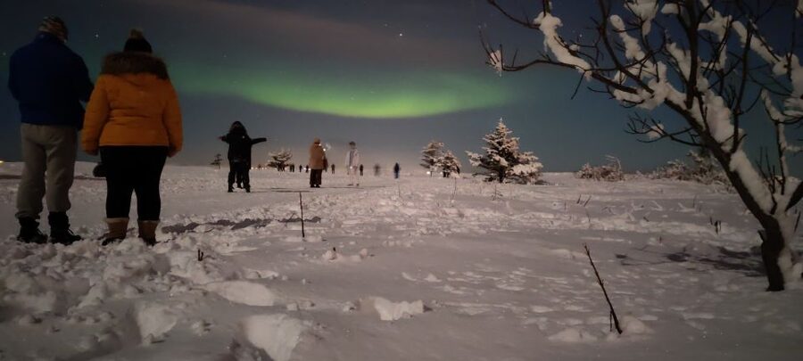 From Reykjavik: Northern Lights Chase with Expert Guide - Key points before you book