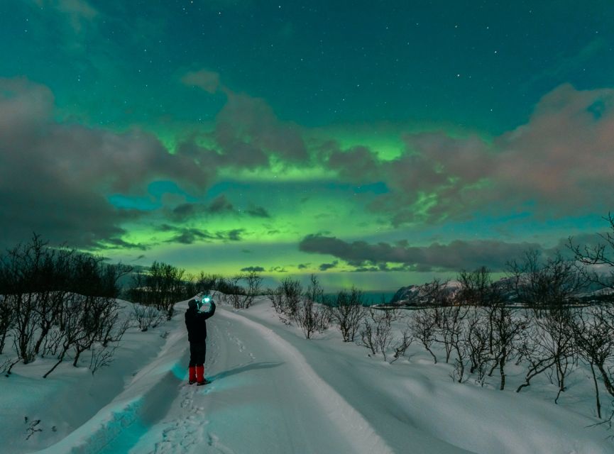 From Reykjavik: Northern Lights Chase with Expert Guide - Seeing green with your eyes, and more through a camera