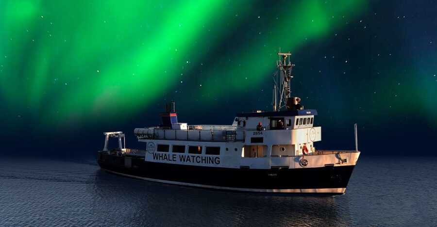 From Reykjavik: Northern Lights Sightseeing Cruise - Checking in at Reykjavik’s Old Harbour