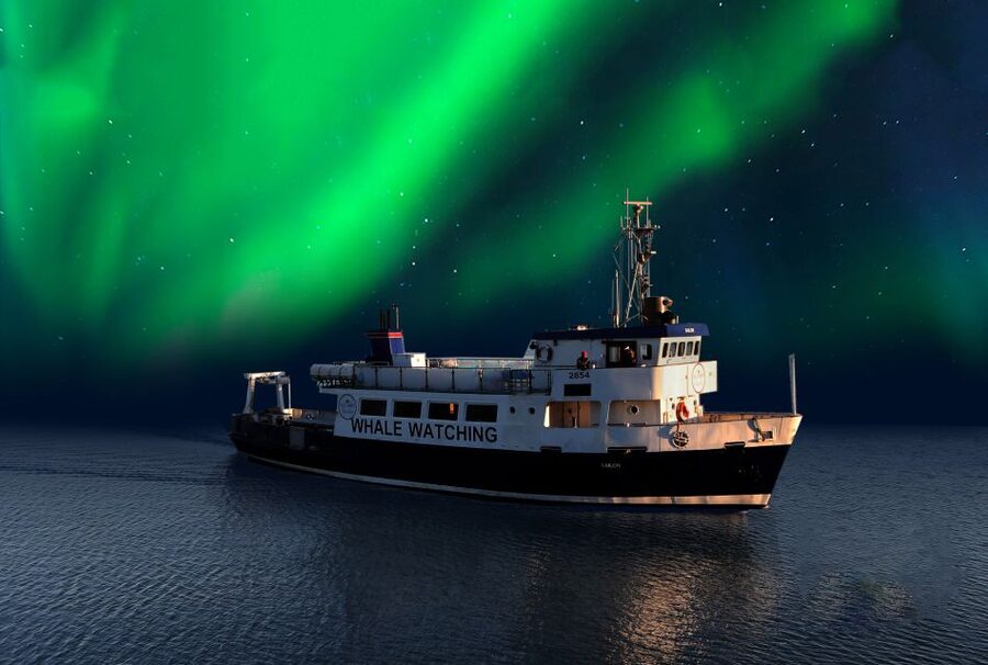 From Reykjavik: Northern Lights Sightseeing Cruise - Leaving the city lights behind