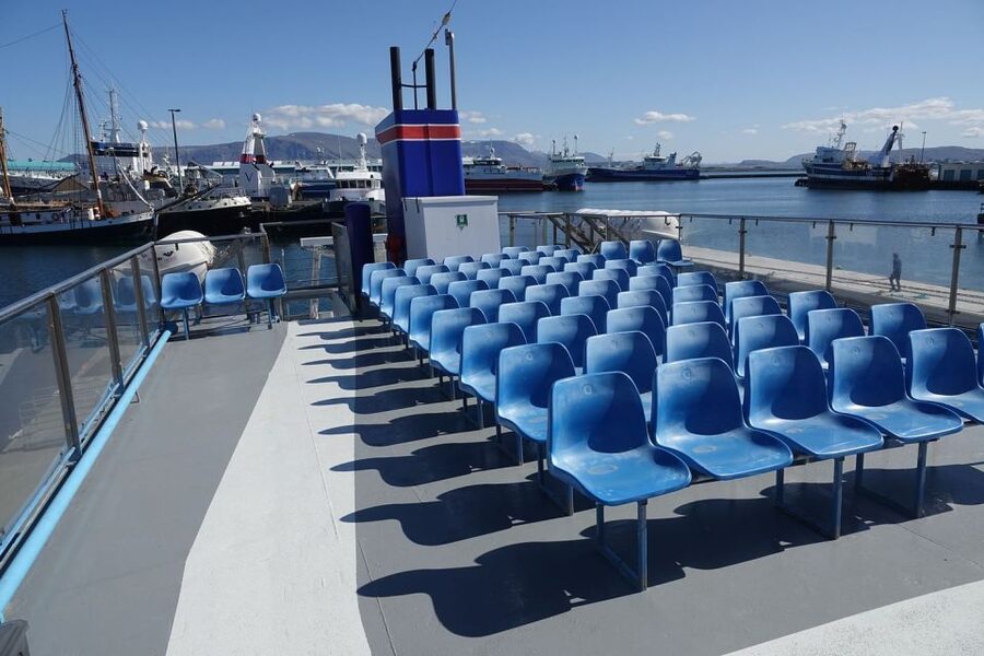 From Reykjavik: Northern Lights Sightseeing Cruise - Waiting for the Northern Lights