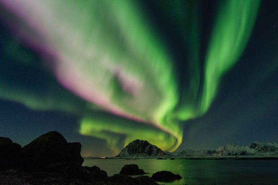 From Reykjavik: Northern Lights Sightseeing Cruise - What happens if the lights do not appear
