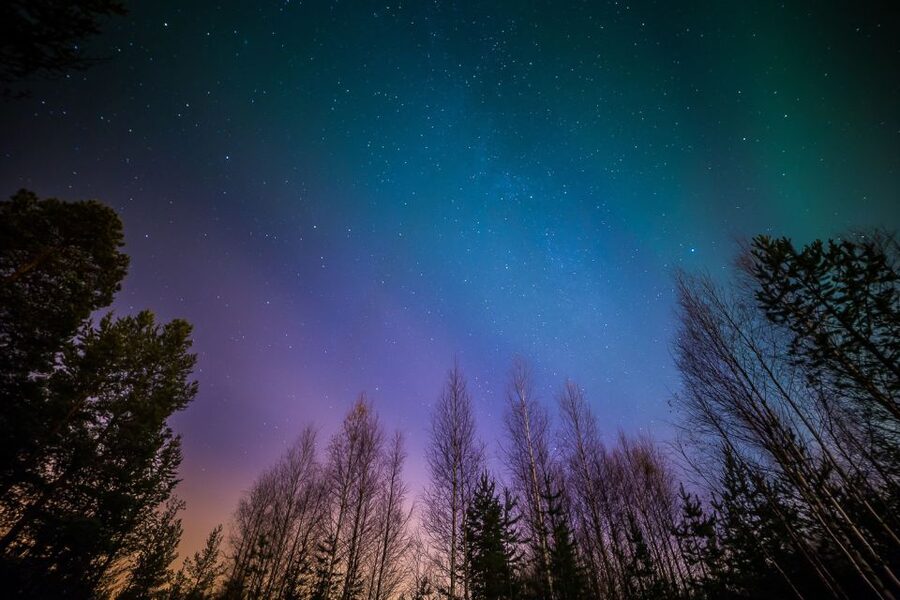 From Reykjavik: Northern Lights Tour - The guides make the waiting easier