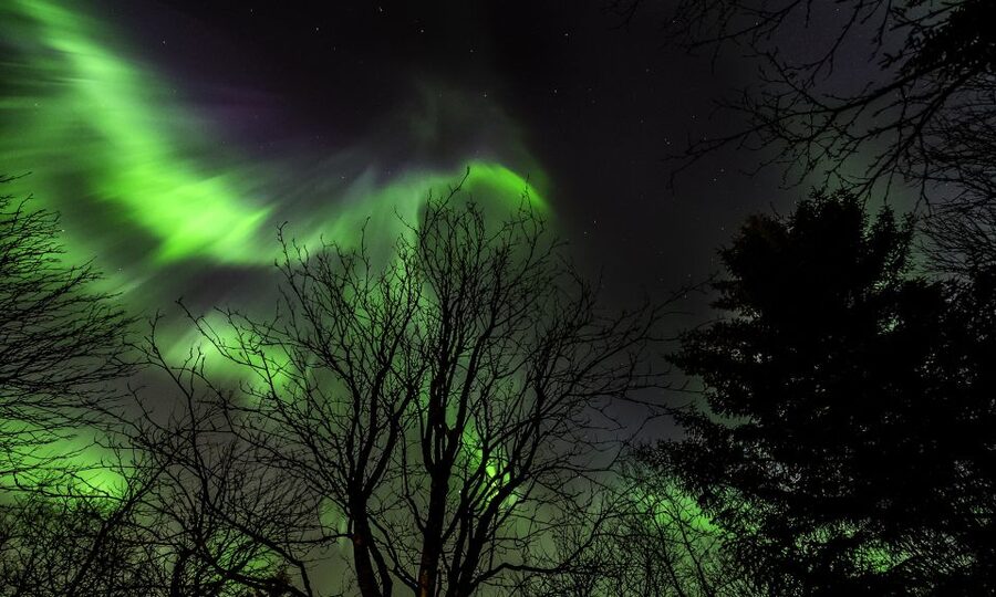 From Reykjavik: Northern Lights Tour with Lifetime Guarantee - Key points to know before you book