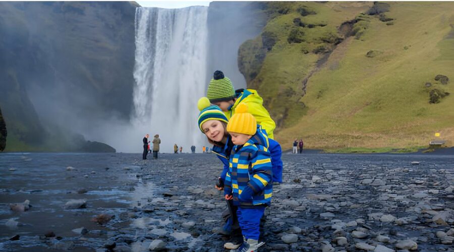 From Reykjavik: Private South Coast Tour in Iceland - Key points to know before you book