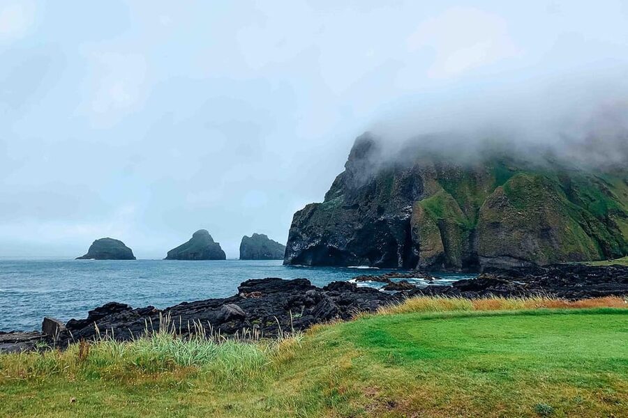From Reykjavik: Puffin and Volcano Tour in Westman Islands - Eldheimar and the buried town