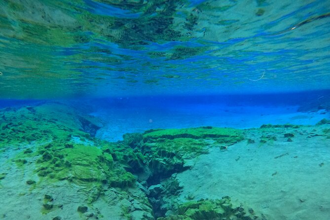 From Reykjavik- Silfra Snorkeling transfer included - What you see during the 40-minute float