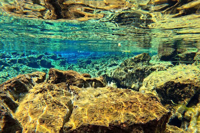 From Reykjavik- Silfra Snorkeling transfer included - GoPro photos make the day easier