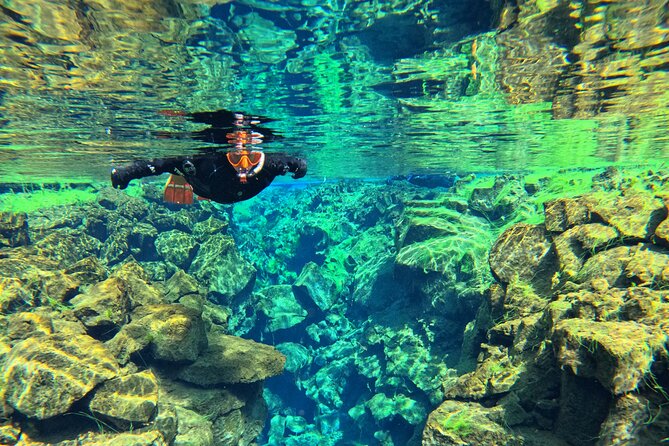 From Reykjavik- Silfra Snorkeling transfer included - Strict rules protect you and the group