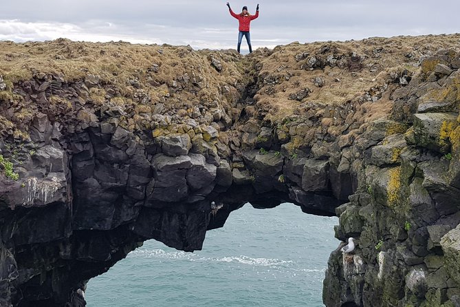 From Reykjavik: Snaefellsness Peninsula small group day tour - Ytri Tunga and the chance to see seals