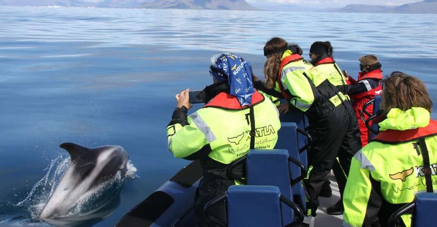 From Reykjavik: Whale Watching Tour by Speedboat - Leaving Reykjavik’s old harbor