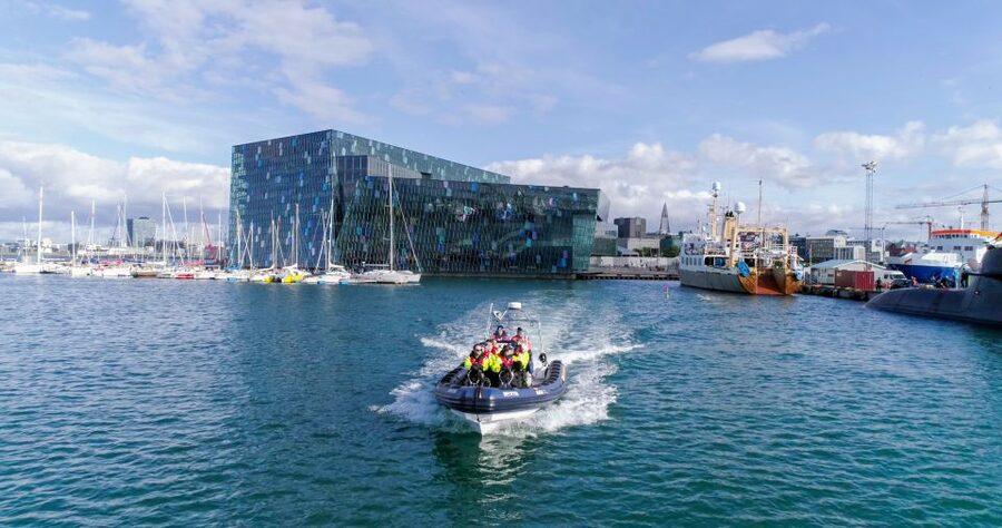 From Reykjavik: Whale Watching Tour by Speedboat - Safety gear and comfort in Icelandic weather