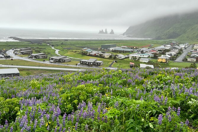 Full-Day Private Guided Tour in South Coast, Iceland - The private vehicle and guide are part of the value
