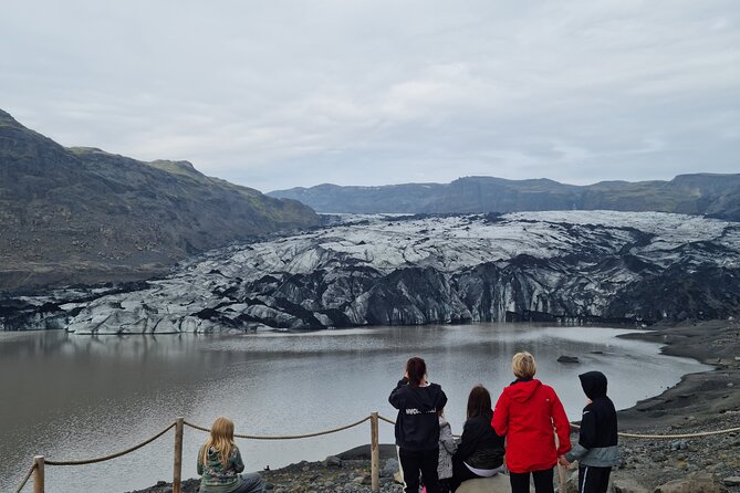 Full-Day Private South Coast Tour from Reykjavik port - Seljalandsfoss: the day’s first splash
