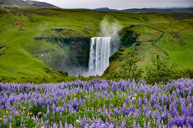 Full Day Small Group South Coast and Glacier Hike from Reykjavik - Pickup, timing, and group comfort