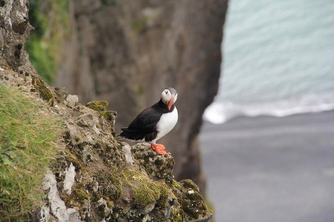 Glacier Lagoon, Diamond Beach, Black Sand Beaches and Waterfalls - Dyrhólaey: Sea Arch and High Coastal Views