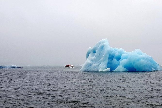 Glacier Lagoon & South Coast. Private Day Tour - Jökulsárlón: the reason for the long day
