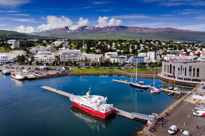 Goðafoss Waterfall & Forest Lagoon from Akureyri Port - Goðafoss: a powerful first look at North Iceland