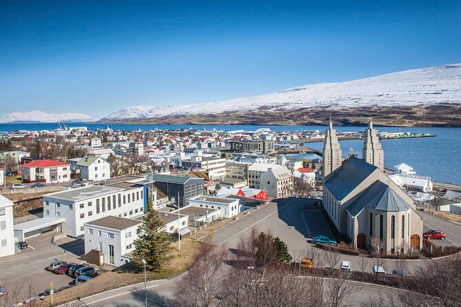 Goðafoss Waterfall from Akureyri Port - Guides make the difference