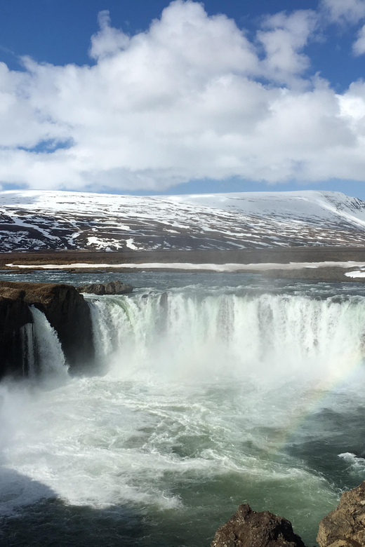 Godafoss Waterfall Short Day Tour from Akureyri Port - One hour beside the Waterfall of the Gods