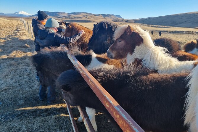 Golden Circle Experience - Private Eco Tour - Laugarvatn and Bread Baked in Hot Sand