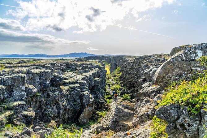 Golden Circle & Friðheimar Experience: Private Farm & Wonder Tour - Geysir: Iceland’s hot ground in action