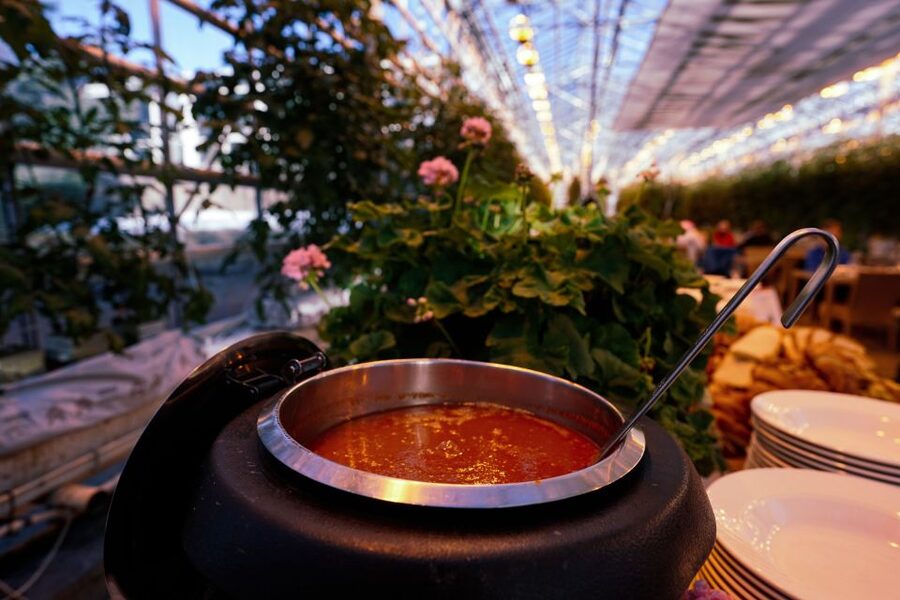 Golden Circle & Lunch at Fridheimar Tomato Farm- with photos - Why this Golden Circle combination works