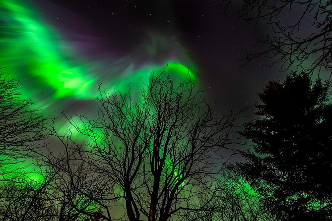 Golden Circle & Northern lights in Iceland - Thingvellir: where history meets moving continents