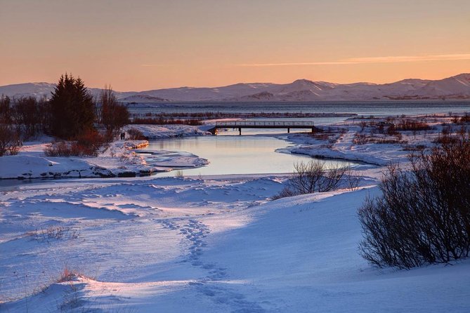 Golden Circle Premium Tour with Fridheimar Farm - Geysir delivers the day’s geothermal drama