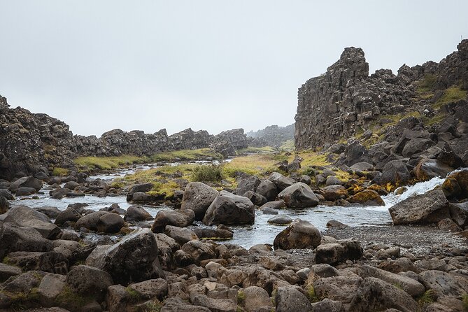 Golden Circle | Private Tour | PRO Photo Package - Friðheimar: tomato soup in an Icelandic greenhouse